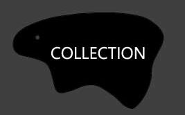 KING OF LEATHER COLLECTION